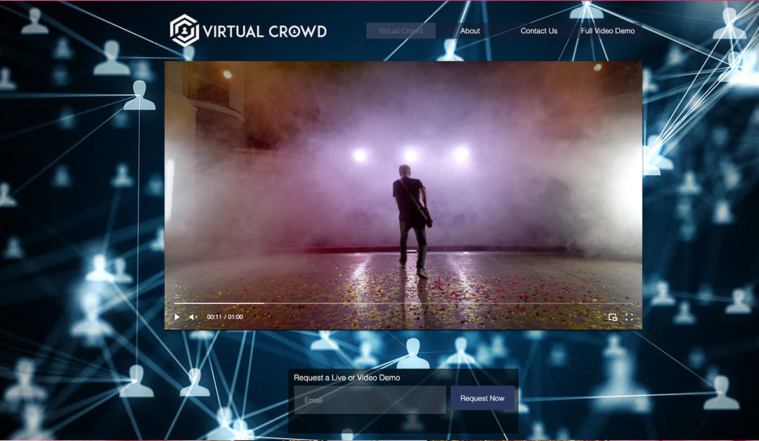 Virtual Crowd