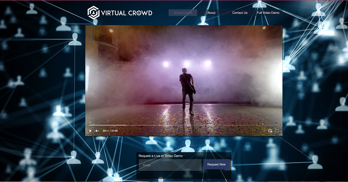 Virtual Crowd