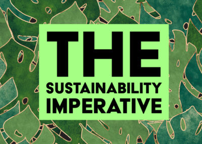 The Sustainability Imperative